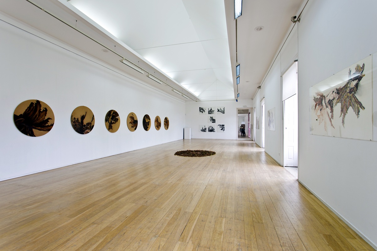 Galeria da Cooperativa Artística Árvore (2)