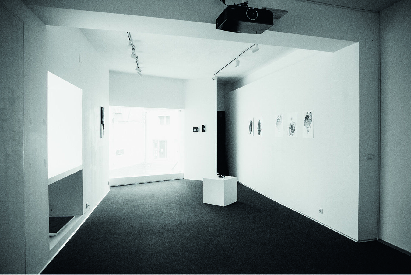 © ARS - Ana Rodrigues